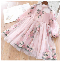 Lace Embroidery Princess Dress