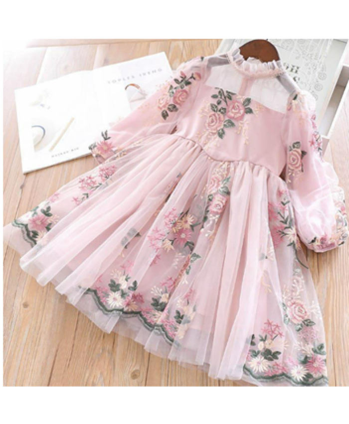 Lace Embroidery Princess Dress