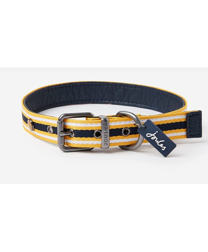 Dog Collar